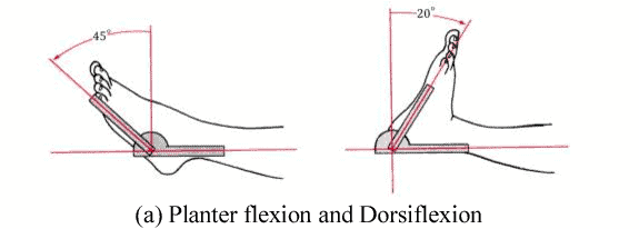 Plantar flexion and Dorsiflexion